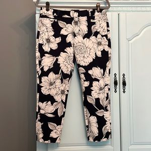 Banana Republic Sloan Crop Navy and White Pants 6P